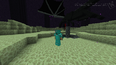 Fighting the Ender Dragon