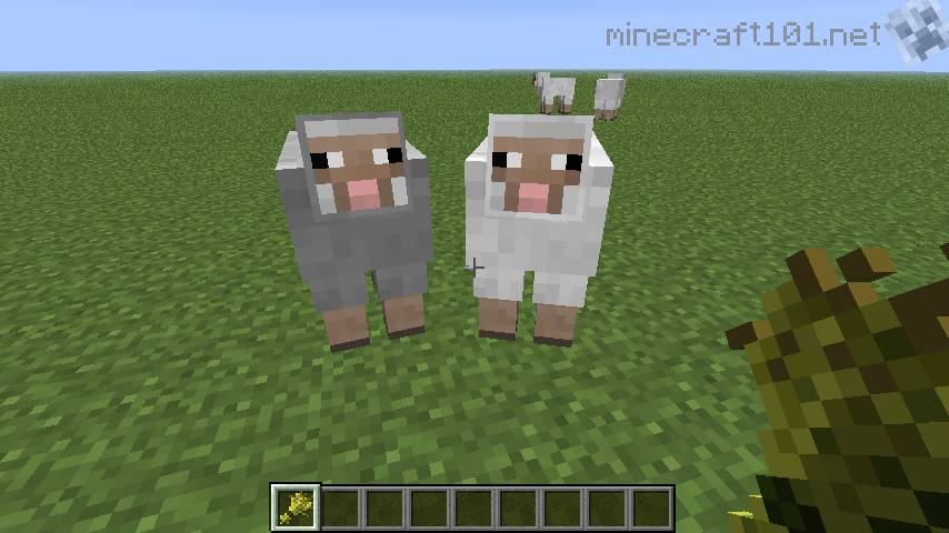 Farming Sheep, Cows and Pigs | Minecraft 101