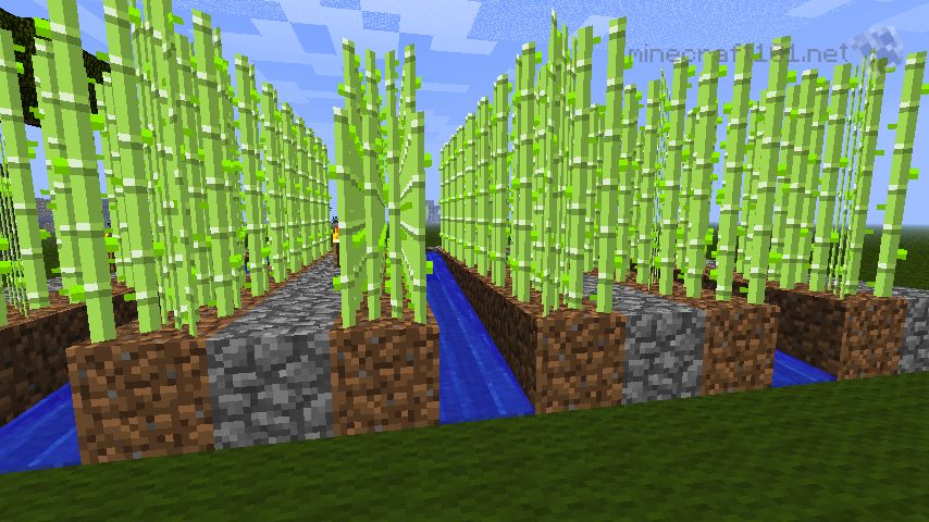 como plantar cana minecraft