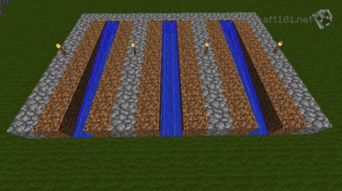 Simple sugar cane farm