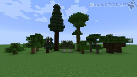 Trees