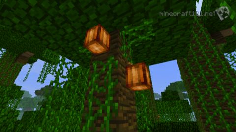 Minecraft Cocoa beans