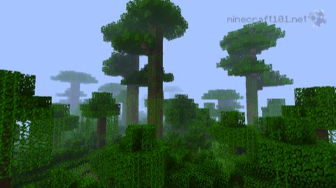 Jungle biome in Minecraft