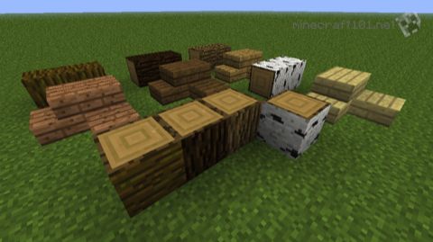 Wood types in Minecraft
