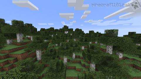 Birch Forest Biome