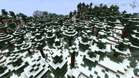 Cold Taiga Biome