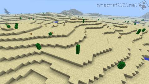 Desert Biome