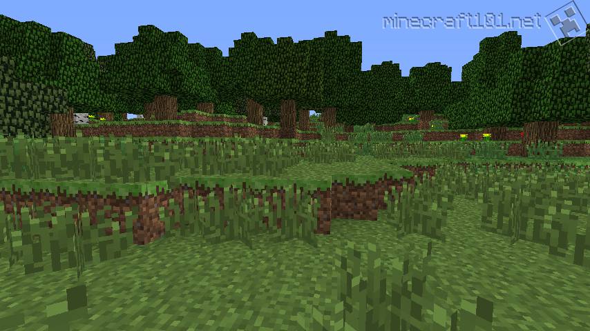 Minecraft Biomes