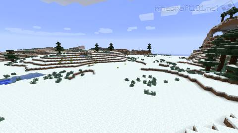 Ice Plains Biome