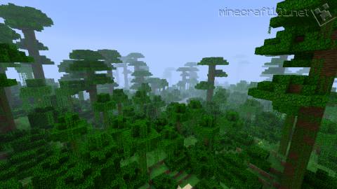 Jungle Biome