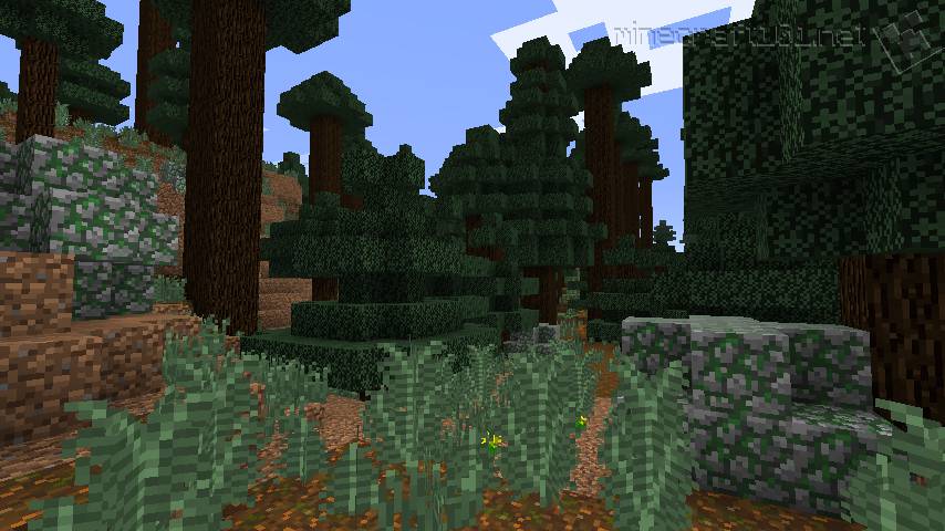 Mini Mega Taiga Biome : r/Minecraft