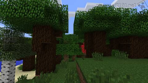 Roofed Forest Biome