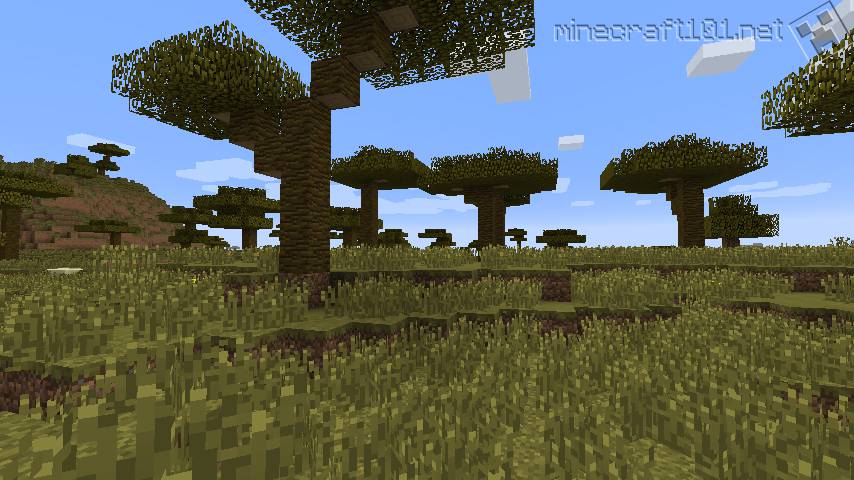 Minecraft Biomes