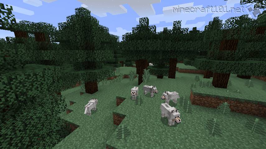 Minecraft - Types of Biomes