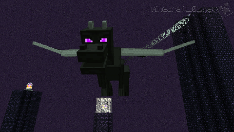 The Ender Dragon