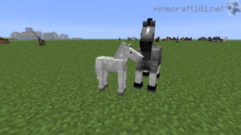 Minecraft horse