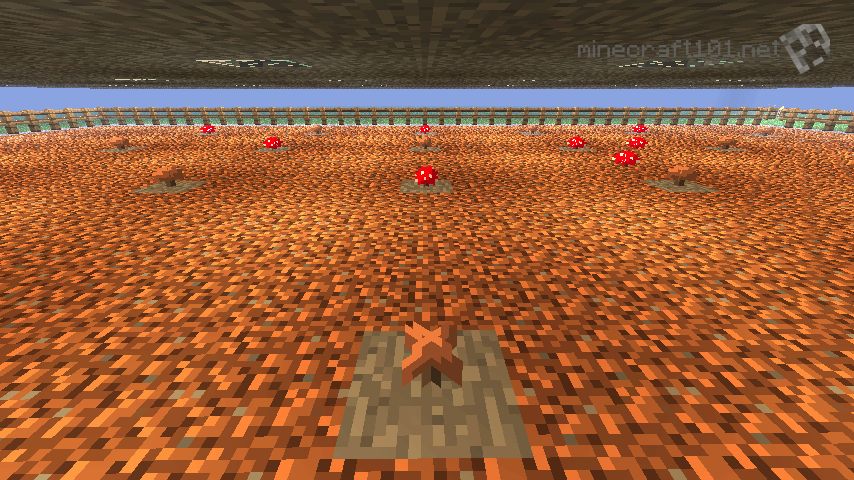 Can You Grow Mushrooms In Minecraft Pe Mushrooms Minecraft 101