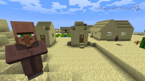 Desert village