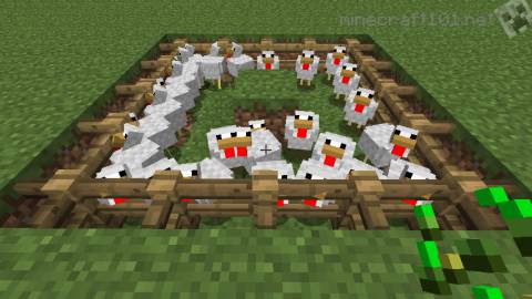 simple chicken farm