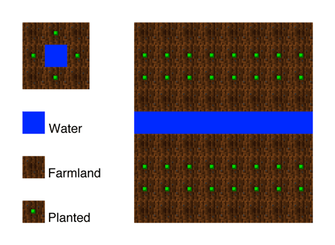 Melon and Pumpkin Farms