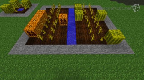 Large Melon Farm