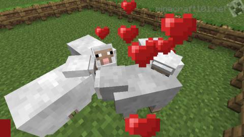 Piggy Love in Minecraft