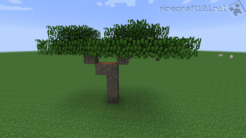 Acacia Trees Minecraft