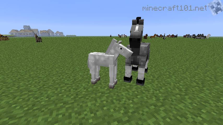 Minecraft Horses