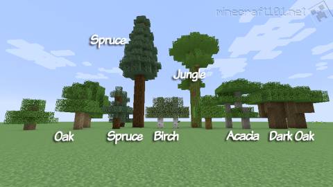 Minecraft  trees - fancy graphics