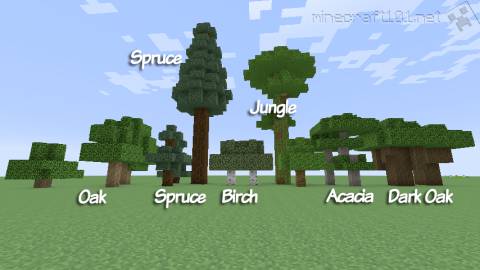 Minecraft  trees - Fast graphics