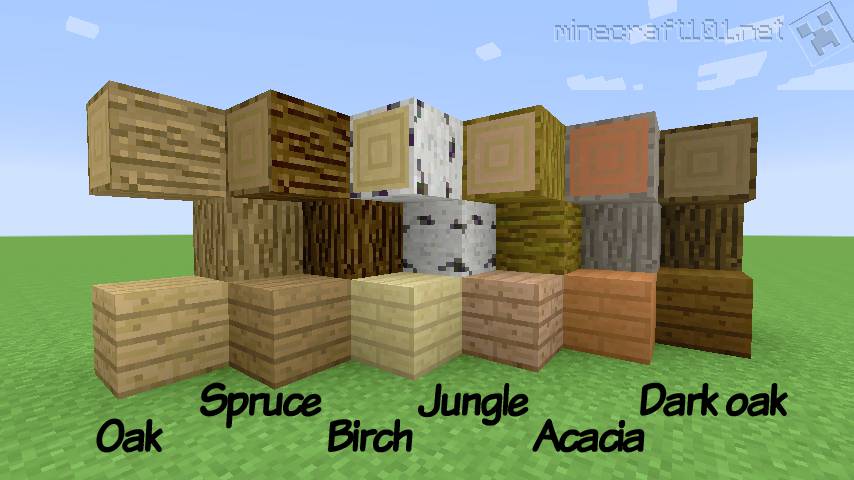 Trees In Minecraft | Minecraft 101