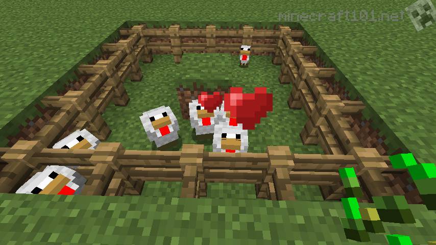 Basic Chicken Farm Tutorial | Minecraft 101