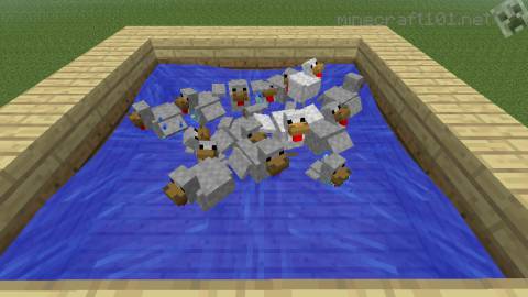 minecraft chicken farm